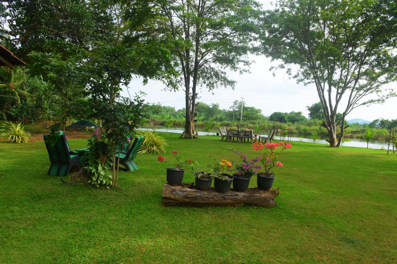 Canal Side Safari Resort Udawalawe Exterior foto